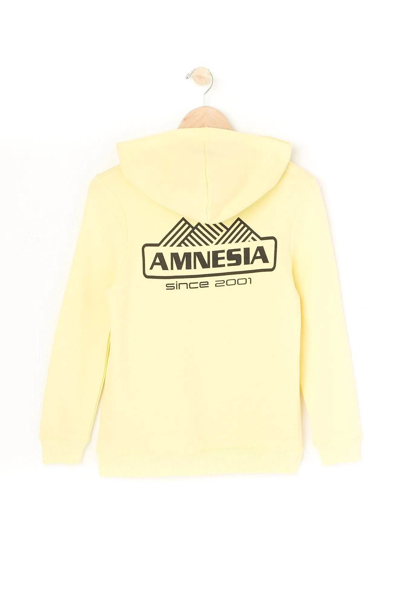 Amnesia Youth Tri Mountain Hoodie