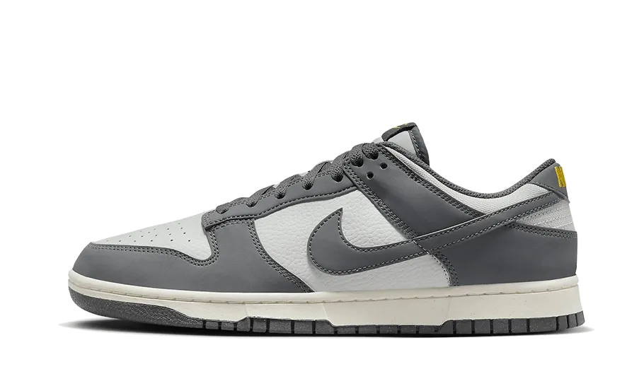 Nike Dunk Low Next Nature Iron Grey Lightning